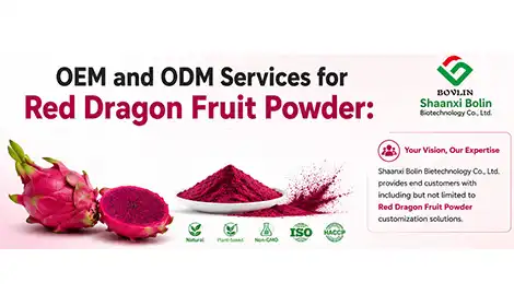 OEM and ODM Services for Red Dragon Fruit Powder: Tailored Natural Color Solutions for Brands